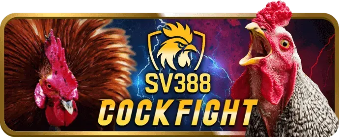 Cá cược bóng đá tại bong98